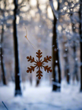 Snowflake Ornament